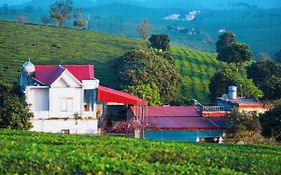Homestay Moc Chau